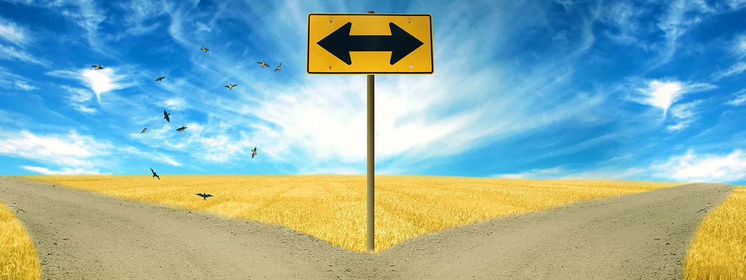 Two roads diverged, choosing options concept