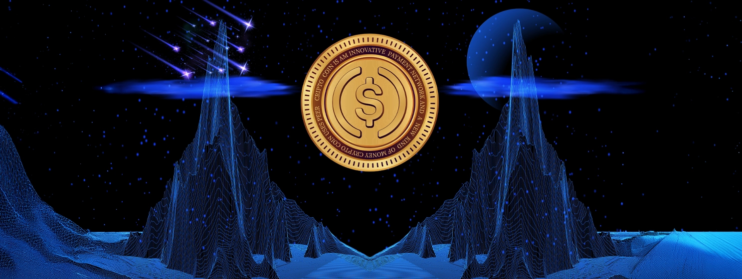 USDC coin