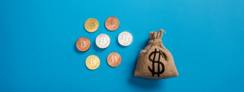 $20B South African fund: Don’t invest all in ‘crypto’