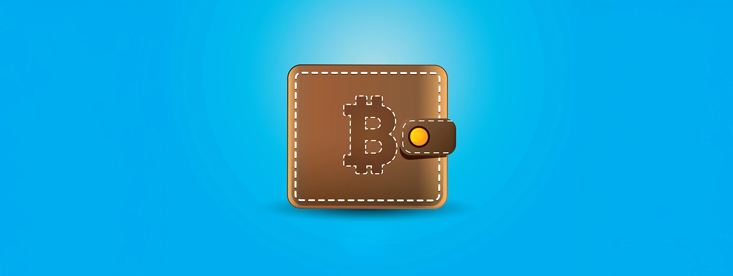 Vector bitcoin wallet icon with coins.