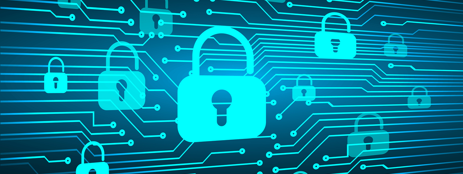 India rolls out DPDP Act for data privacy, digital economy growth