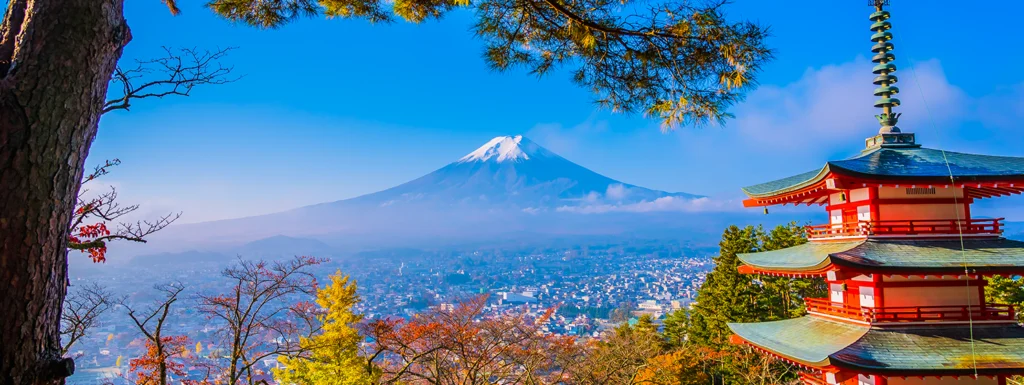 Japanese minister lays out digitalization plans for 2026