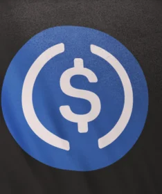 Stablecoins: Banks’ enemy, AI’s ally, Russia’s sanctions bypasser