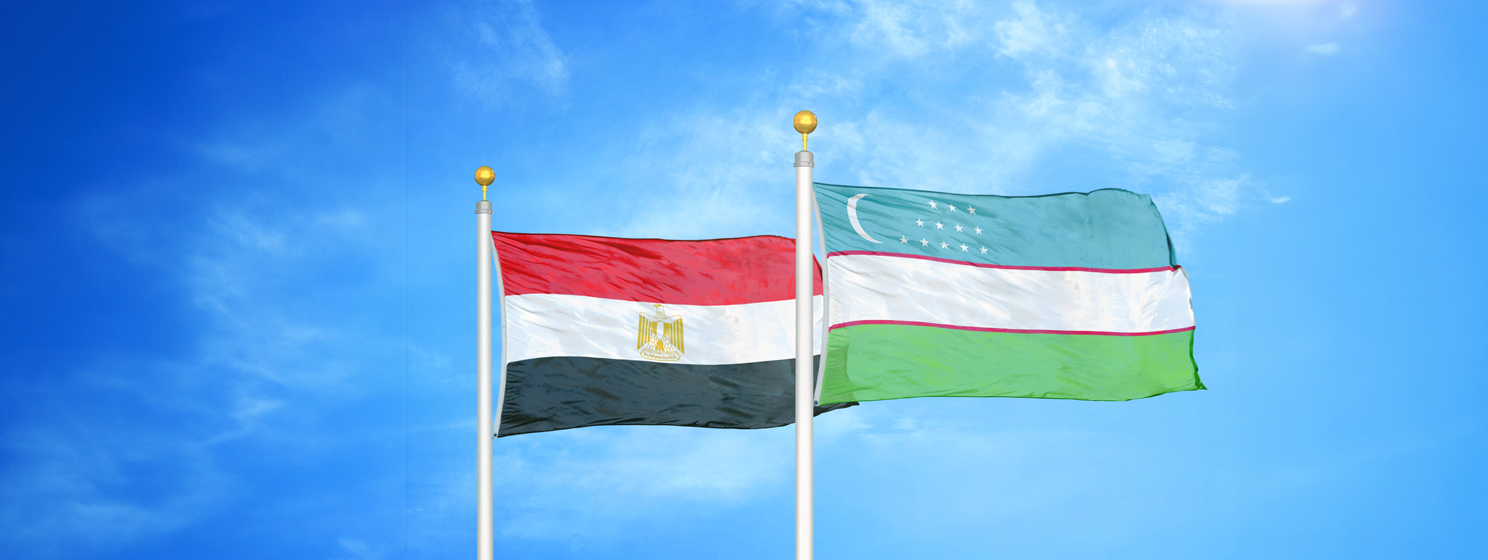 Egypt forms digital committee; Uzbekistan taps ZTE for digitalization