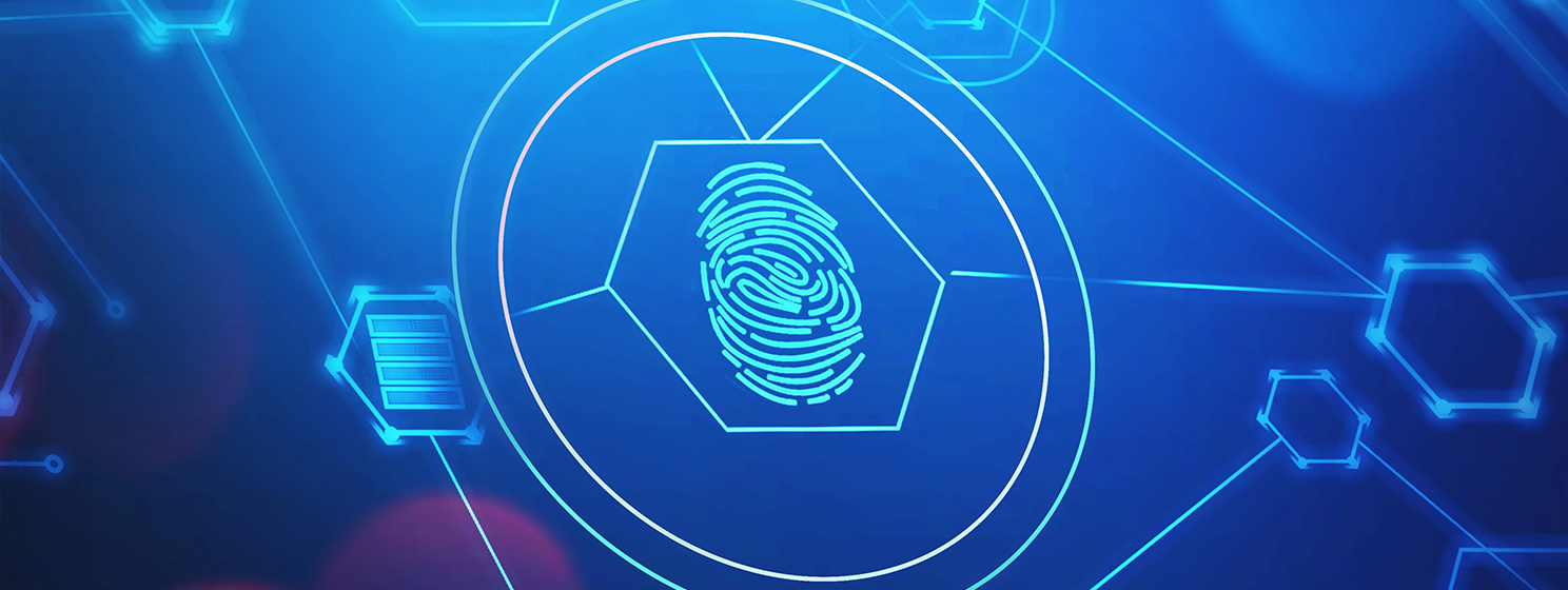 Fingerprint and cyber security interface