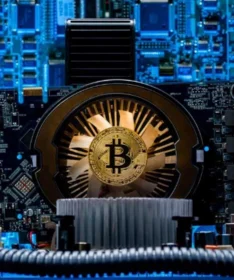 Block reward mining Q2: Losses rising faster than revenue